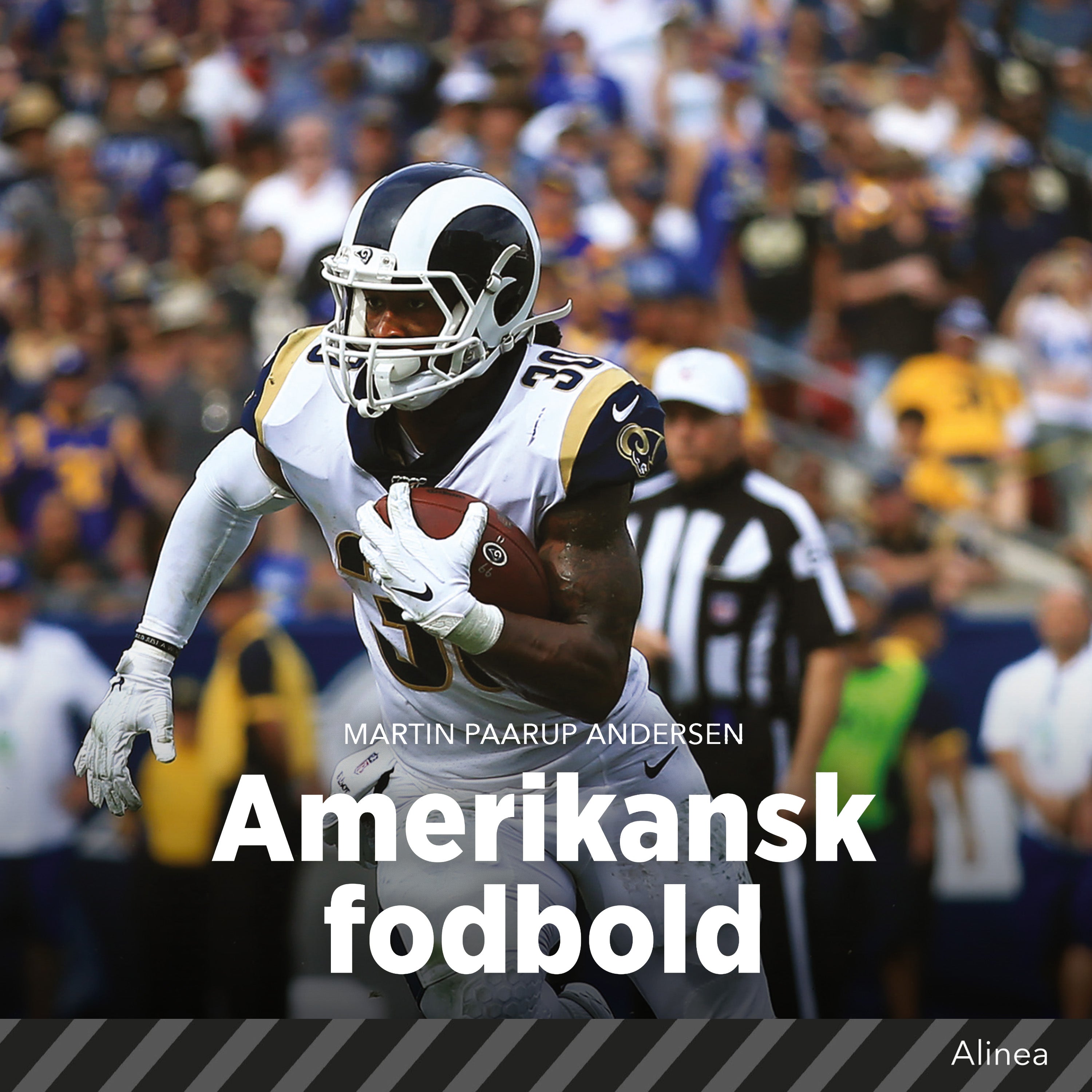 Forside billede